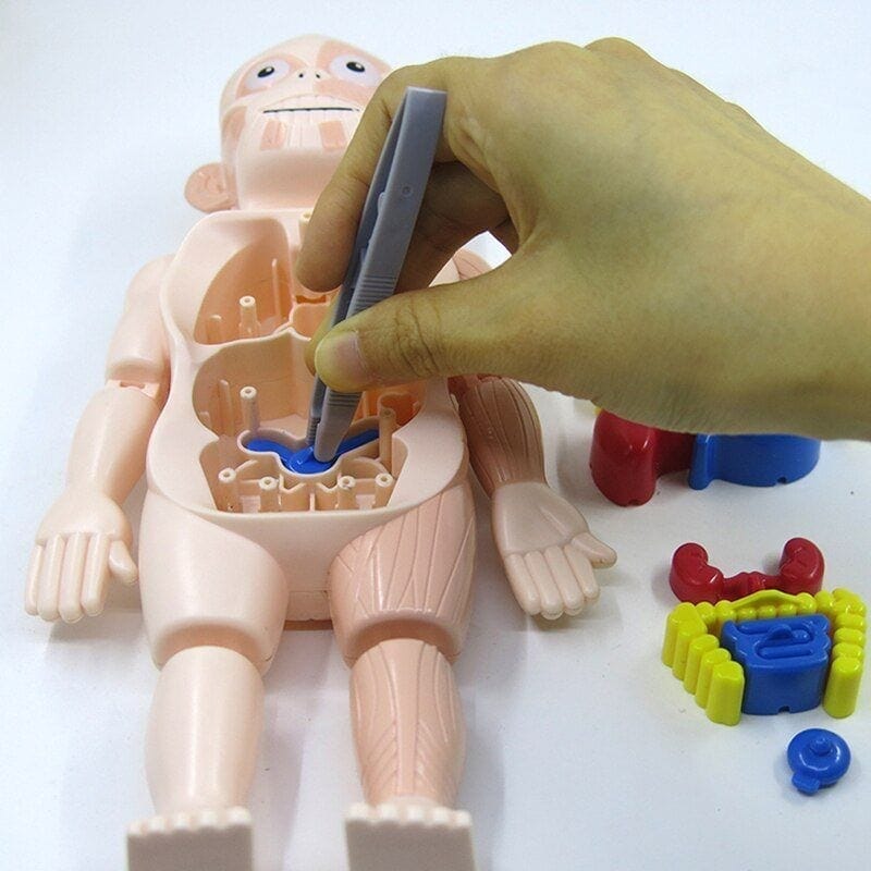 Human Toys - Brinquedo Educacional de Anatomia Humana Brinquedo - edu - 051 Kidslandia 