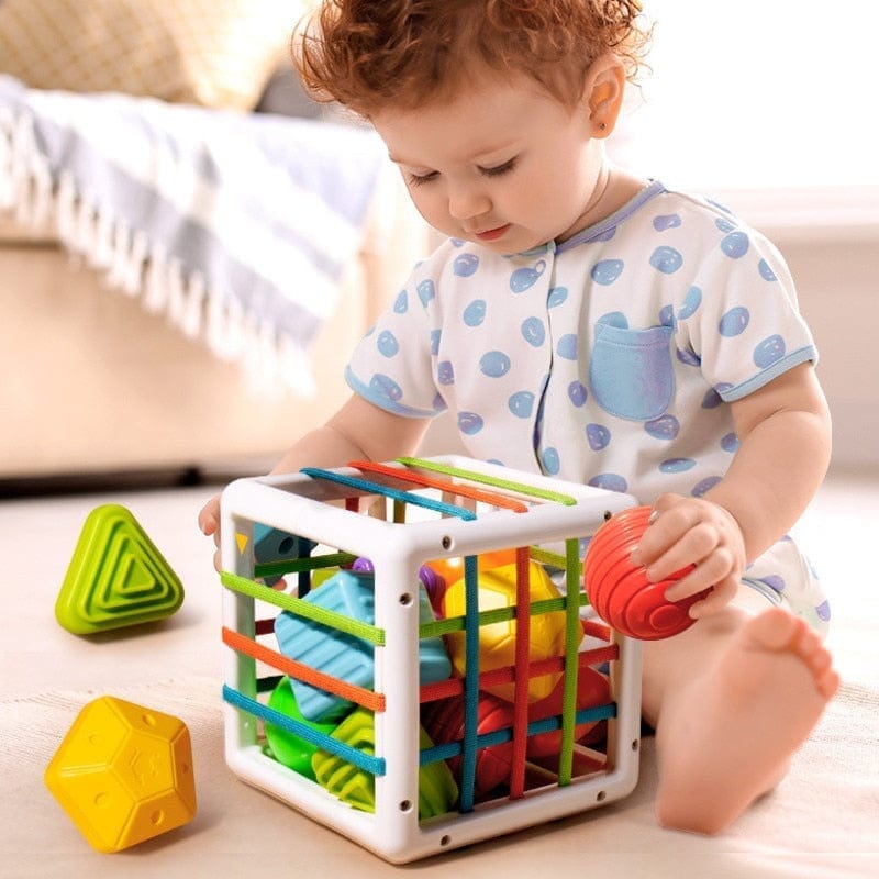 Montessori bloco de classificação especial montessori bloco -brin - 185 VF Villa Kids 