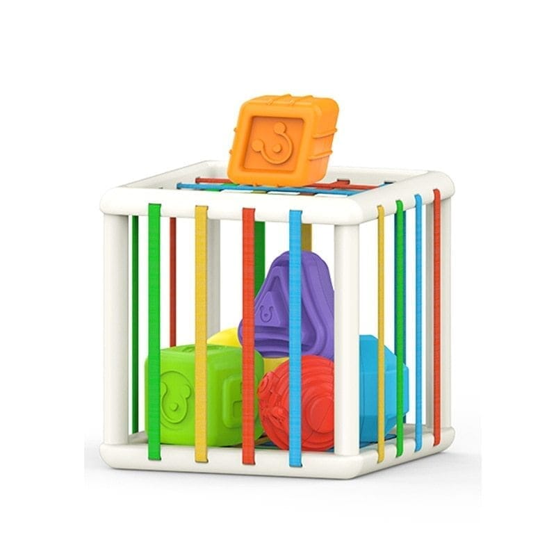 Montessori bloco de classificação especial montessori bloco -brin - 185 VF Villa Kids Quadrado 