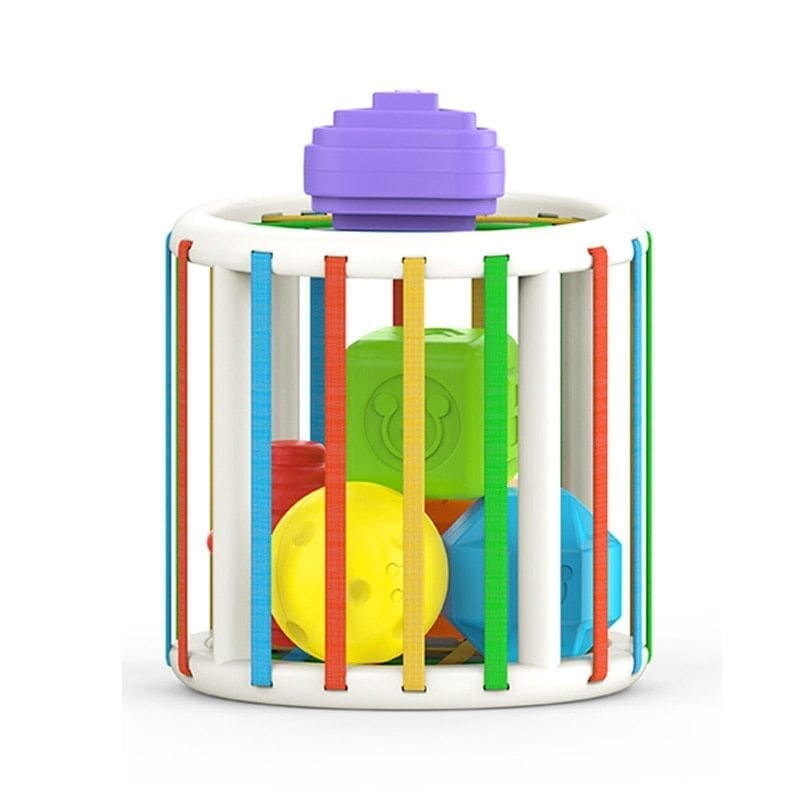 Montessori bloco de classificação especial montessori bloco -brin - 185 VF Villa Kids Redondo 